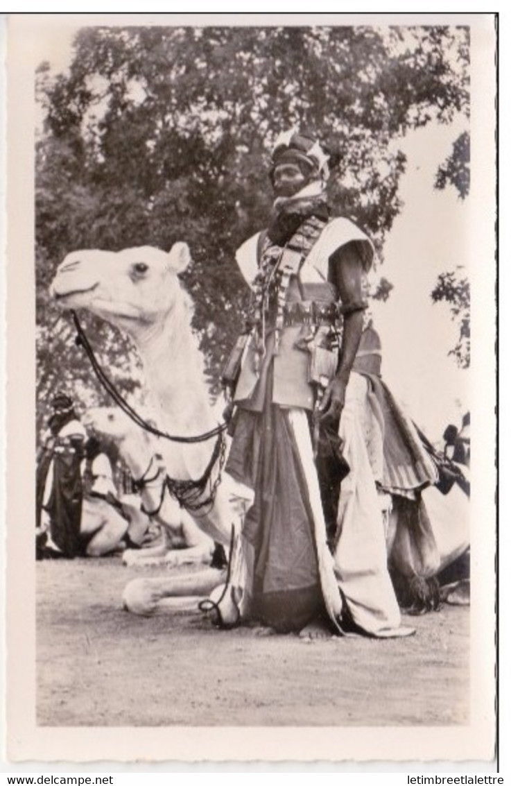 ⭐ Niger - Carte Photo - CP - Partisan Méhariste - Collection G. LABITTE ⭐ - Niger