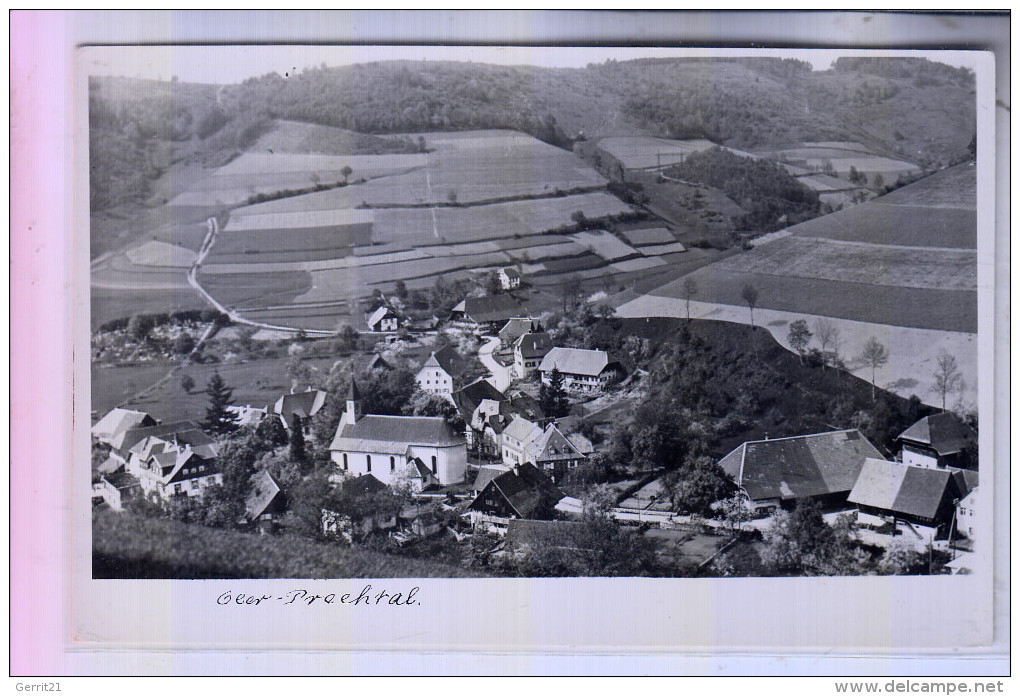 7809 ELZACH - OBERPRECHTAL, Panorama - Emmendingen