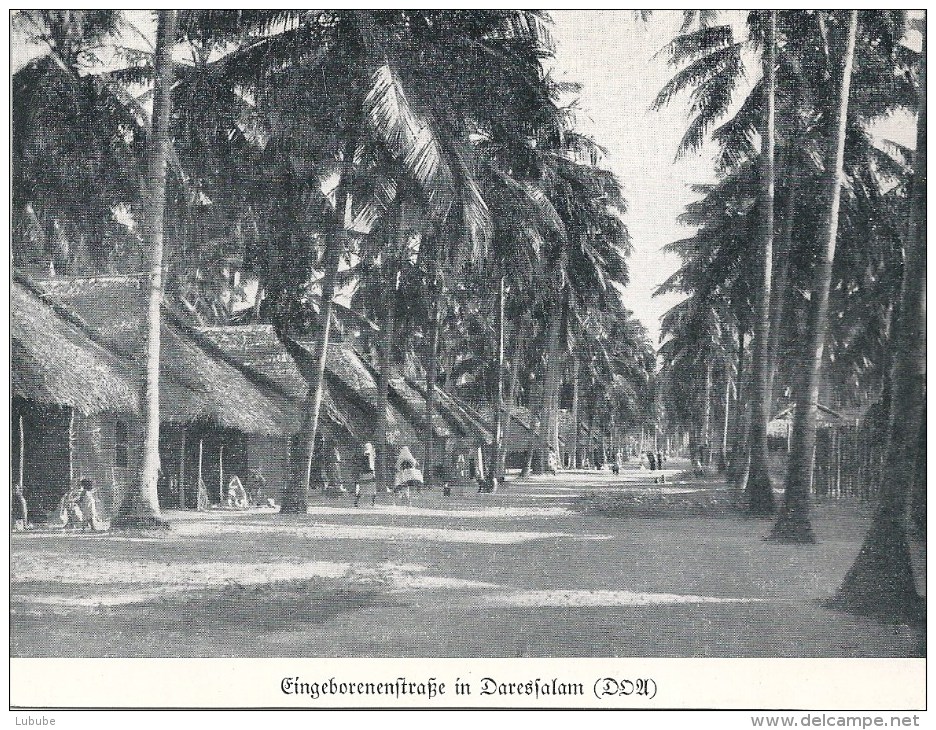 Deutsch Ostafrika - Eingeborenenstrasse In Dar Es Salam           Ca. 1900 - Ehemalige Dt. Kolonien