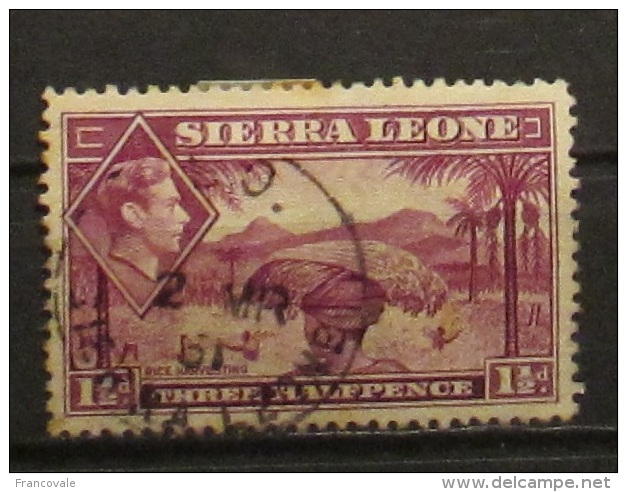 Sierra Leone 1938 Rice Harvesting Three Halfpence - Sierra Leone (...-1960)