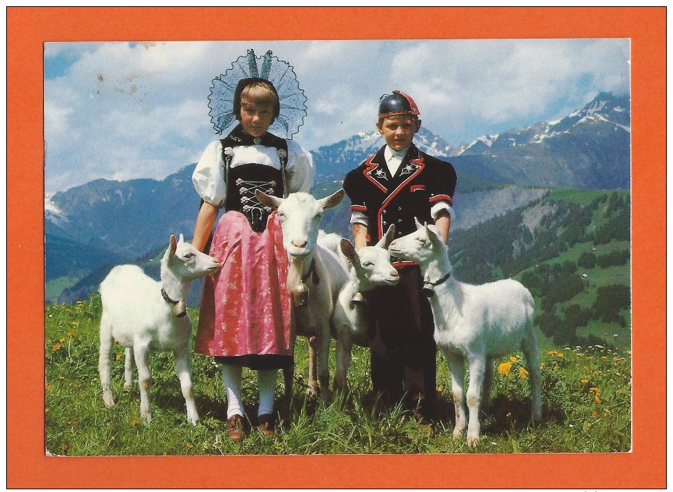 Enfants En Costume Avec Leurs Chèvres  - Chèvres - Chèvre - Ziegen - Ziege - Capre - Capra - Goats - Goat - Autres & Non Classés