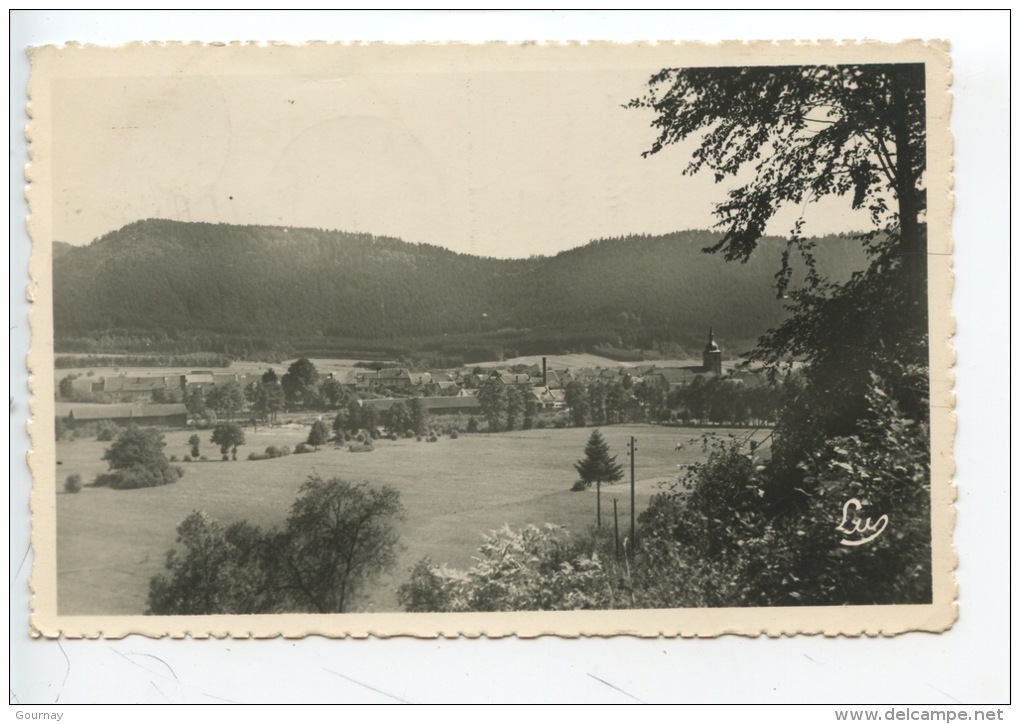 Celles Sur Plaine - Les Vosges Pittoresques (n°100 éd Kohler) - Sonstige & Ohne Zuordnung