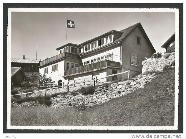 FELDIS VEULDEN GR Domleschg Pension CRESTA Ca. 1950 - Domleschg