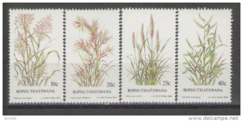 Bophuthatswana - Flora 1984 MNH - Bophuthatswana