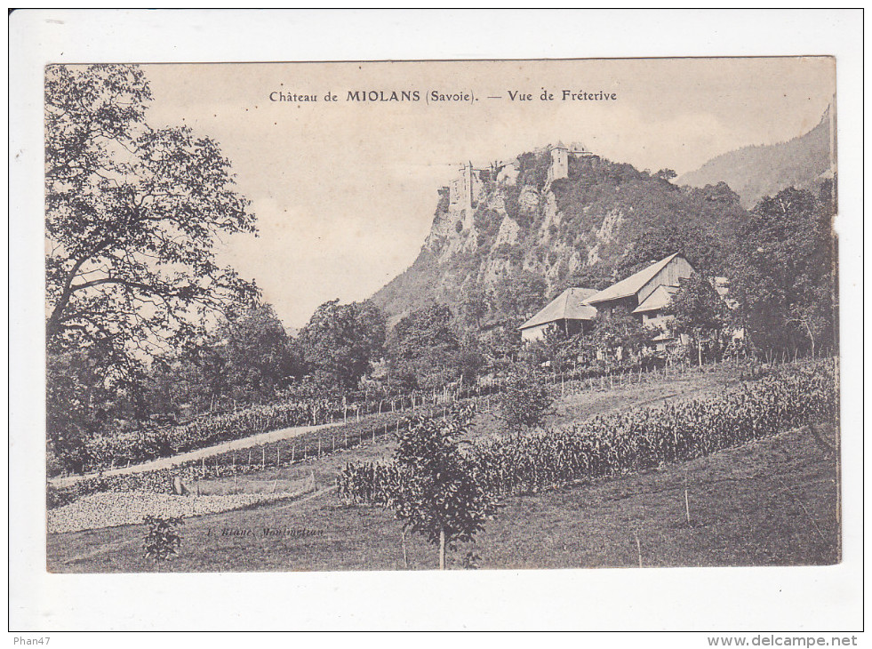 FRETERIVE (73-Savoie) Vue Sur Le Château De Miolans, Vignes, Ed. L. Blanc 1920 Environ - Autres & Non Classés