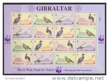 Gibraltar 1991 WWF 4v Sheetlet  ** Mnh (F4838) - Unused Stamps