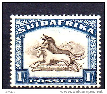 Y1417 - SUD AFRICA , Yvert N. 53  *  Mint - Nuovi