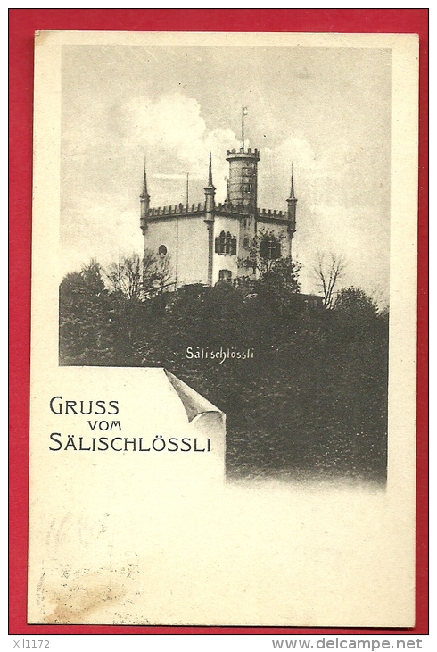 PAI-30   Gruss Vom Sälischlössli  Stempel Olten 1912 - Olten