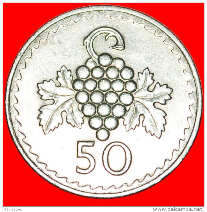 &#9733;CLUSTER Of GRAPE: CYPRUS &#9733; 50 MILS 1979! LOW START&#9733;NO RESERVE! - Chipre