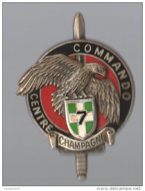 INSIGNE  7° RI CENTRE COMMANDO CHAMPAGNE - DRAGO PARIS G 2599 - Armée De Terre