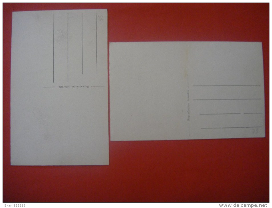 Lot De 2 Cartes De MOMALLE ( Remicourt ) Rue Momelette - Remicourt