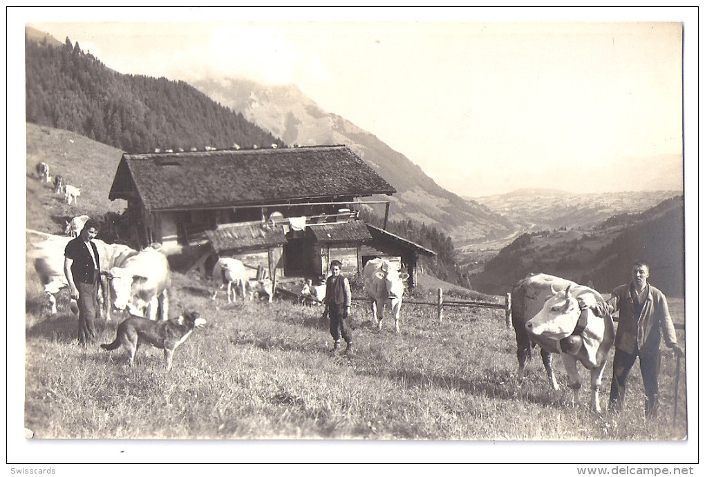 KIENTAL: Sennerei Mit Bauern/Kühen, Foto-AK ~1920 - Autres & Non Classés