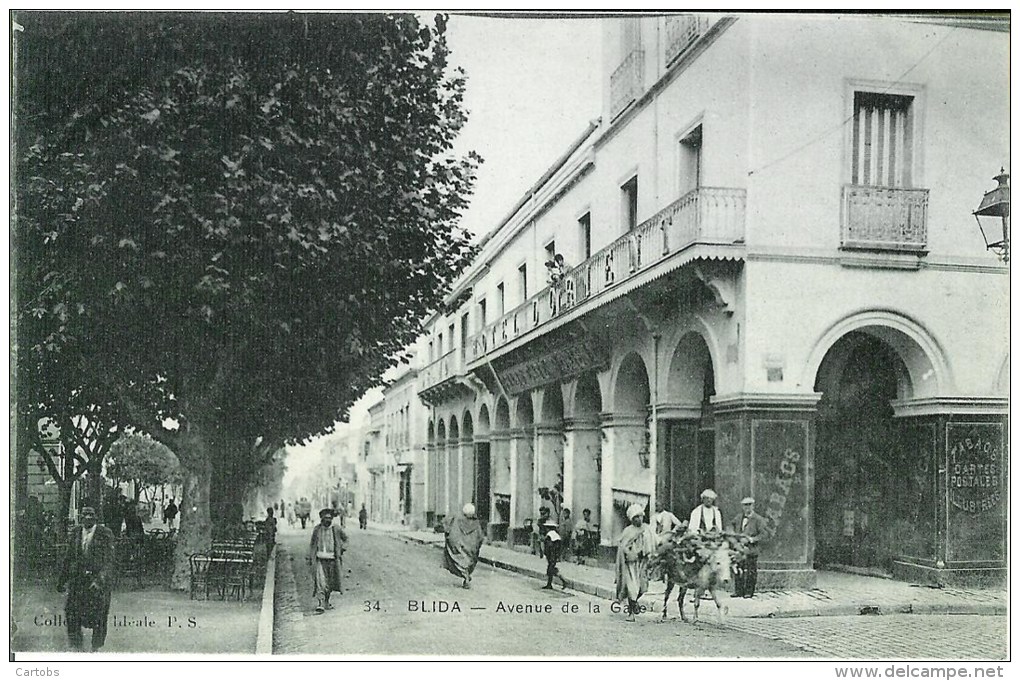 Algérie BLIDA  Avenue De La Gare - Blida