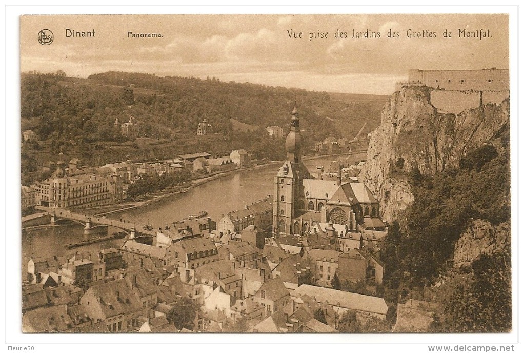 DINANT - Panorama, Vue Prise Des Jardins Des Grottes De Monfat. Collection Nels, Série Dinant N°75 - Collections & Lots