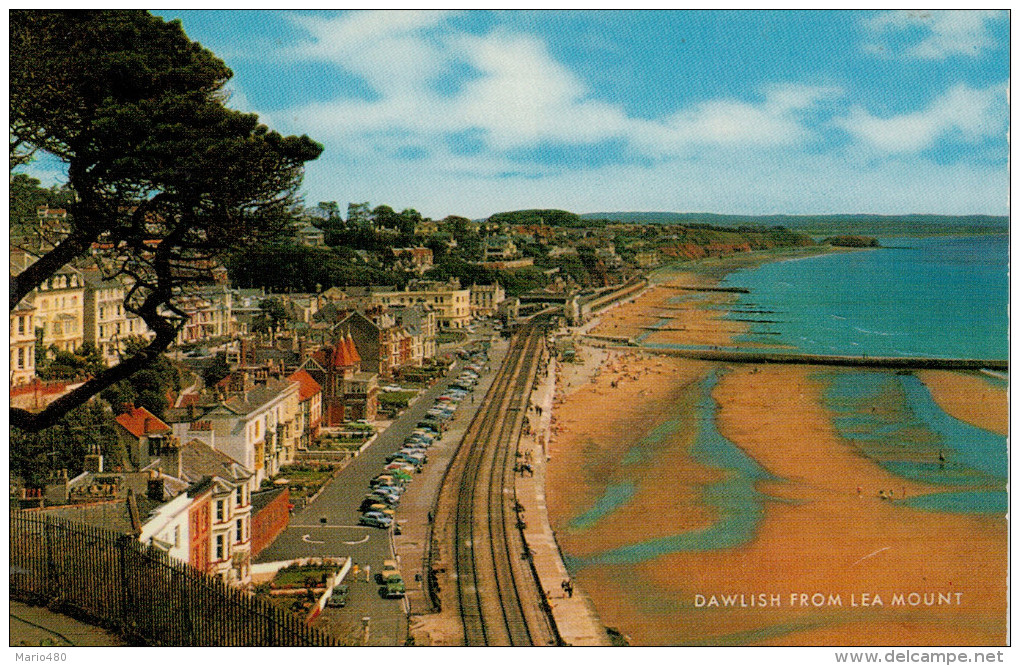 DAWLISH   FROM  LEA  MOUNT        (NUOVA) - Altri & Non Classificati