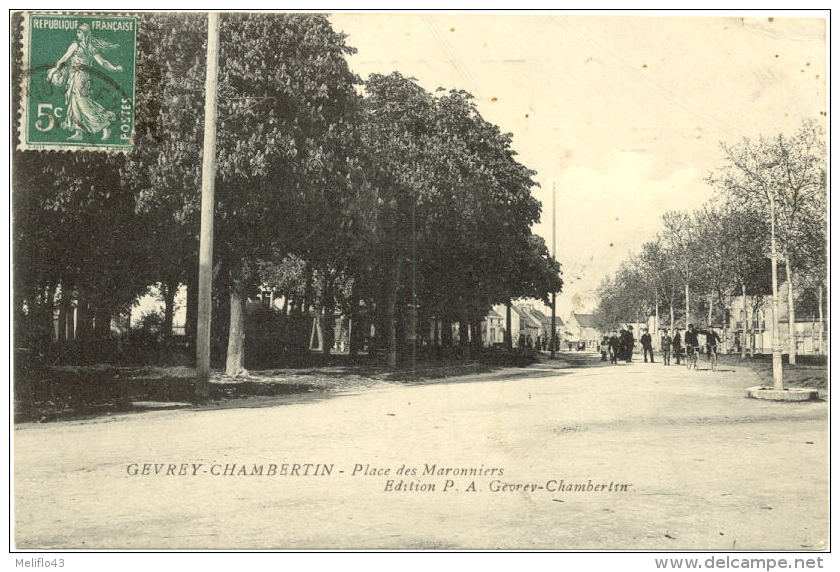 21/CPA - Gevrey Chambertin - Place Des Maronniers - Gevrey Chambertin