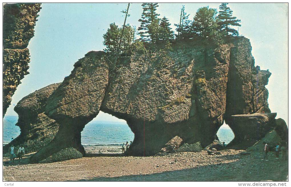CANADA - New Brunswick - The Rocks - Hopewell Cape - Autres & Non Classés