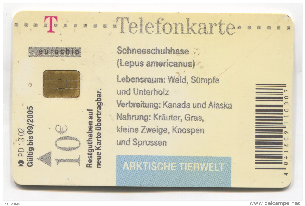 RABBIT KANINCHEN - Phonecards Telecartes Telefonkarten - Konijnen