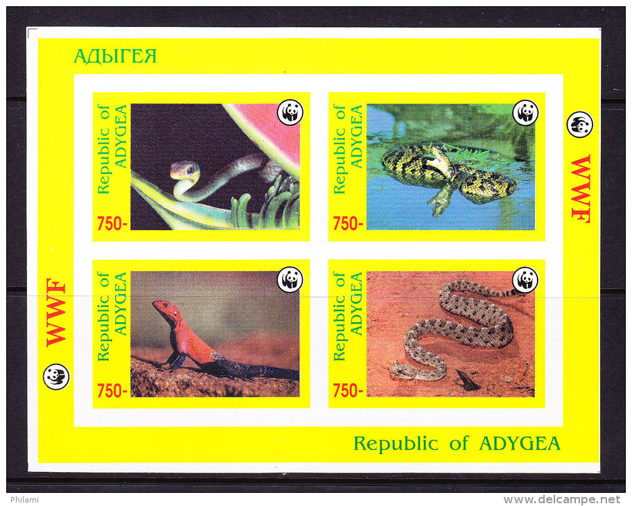 ADYGEA_, REPTILES, WWF, ** MNH .  (5R40) - Serpents