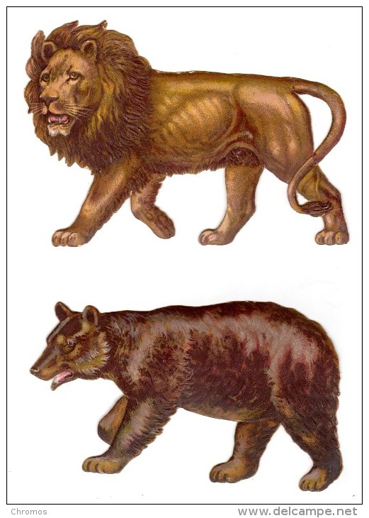 Lot De 2 Decoupis épais Gaufrés De Raphael Tuck & Sons, Ours, Lion (env. 18 X 12 Cm) - Animals