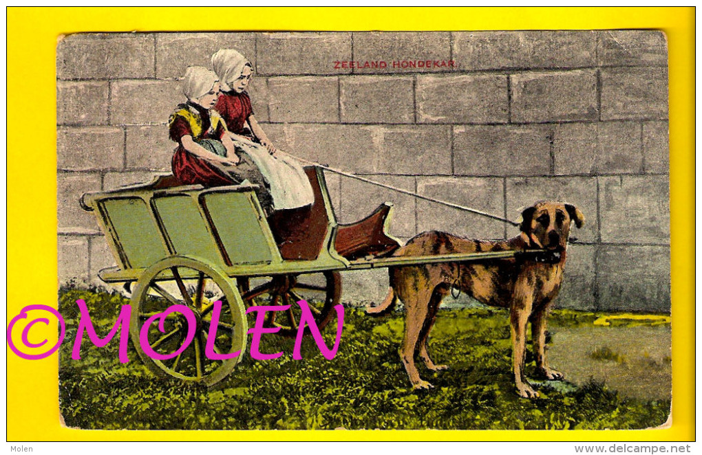 ZEELAND HONDENKAR WALCHEREN WALCHERSE ATTELAGE DE CHIEN * DOG DRAWN CART * HONDEKAR * VOITURE à CHIENS * HUNDEKARRE 2969 - Teams