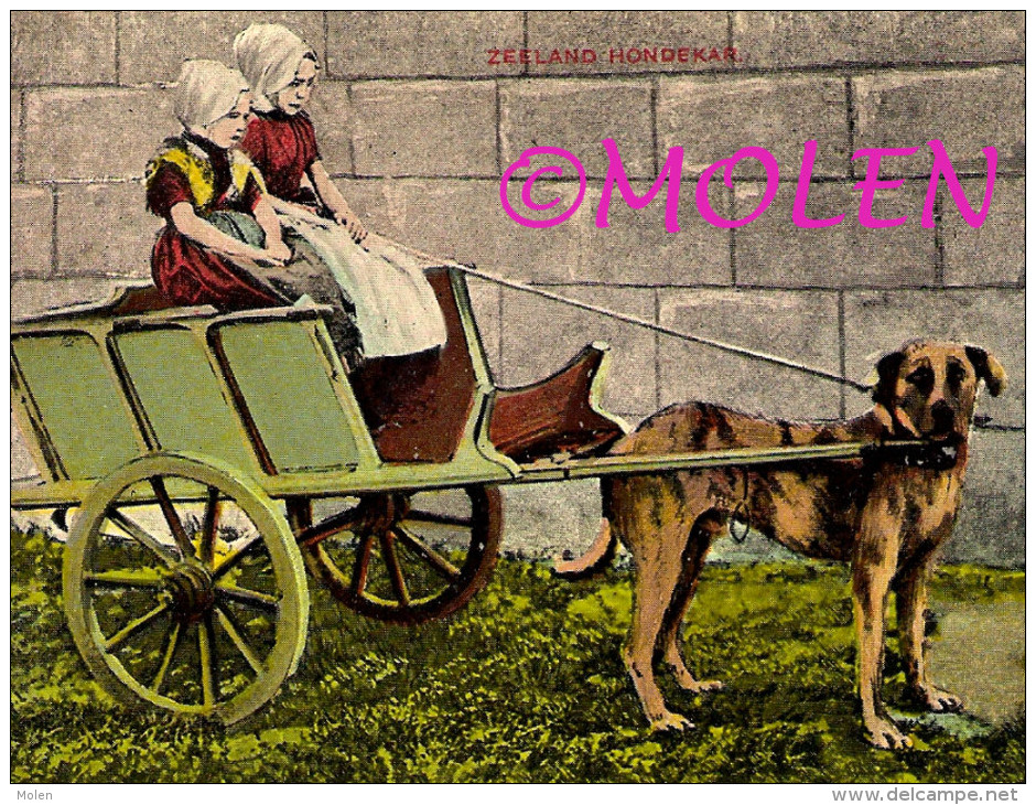 ZEELAND HONDENKAR WALCHEREN WALCHERSE ATTELAGE DE CHIEN * DOG DRAWN CART * HONDEKAR * VOITURE à CHIENS * HUNDEKARRE 2969 - Teams