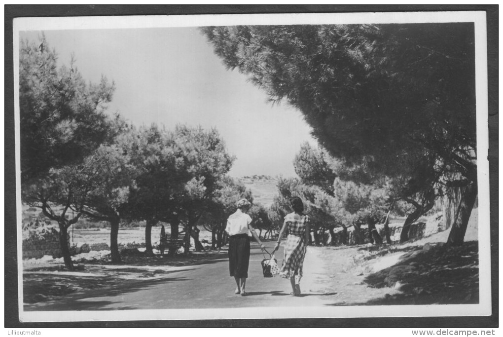 Vintage Malta Photo Postcard Circa 1960s Showing Hiking Near St. Paul's Bay - Malta