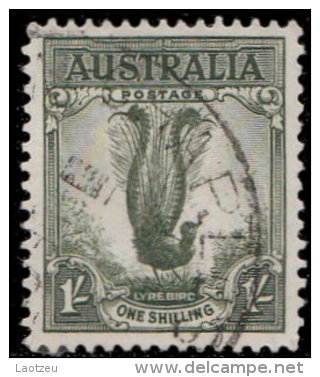 Australie 1937. ~ YT 118 Par 3 - Oiseau-lyre - Oblitérés