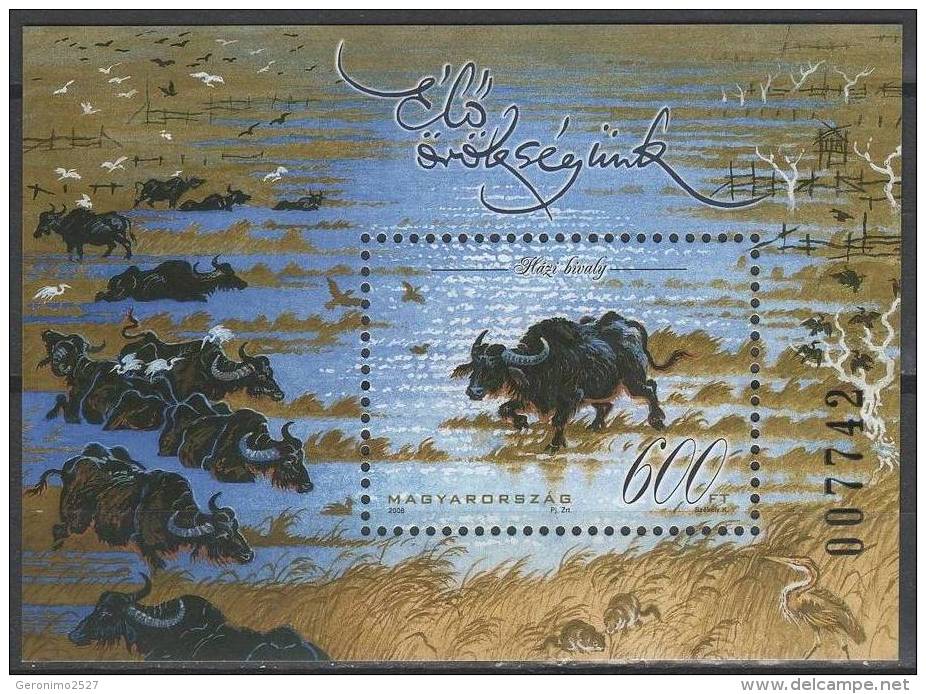 HUNGARY 2008 FAUNA Domestic Animals COW BULL - Fine S/S MNH - Ongebruikt