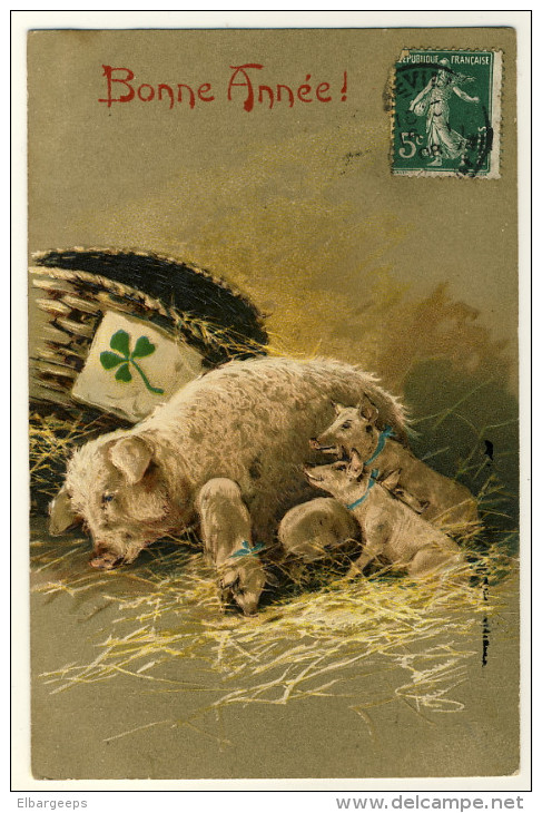Bonne Année 1908   - Belle Carte Gaufrée .... Année 1908 - Maman Et Ses Petits  - Trèfle 4 Feuilles  - 2 Scans ) - Cerdos