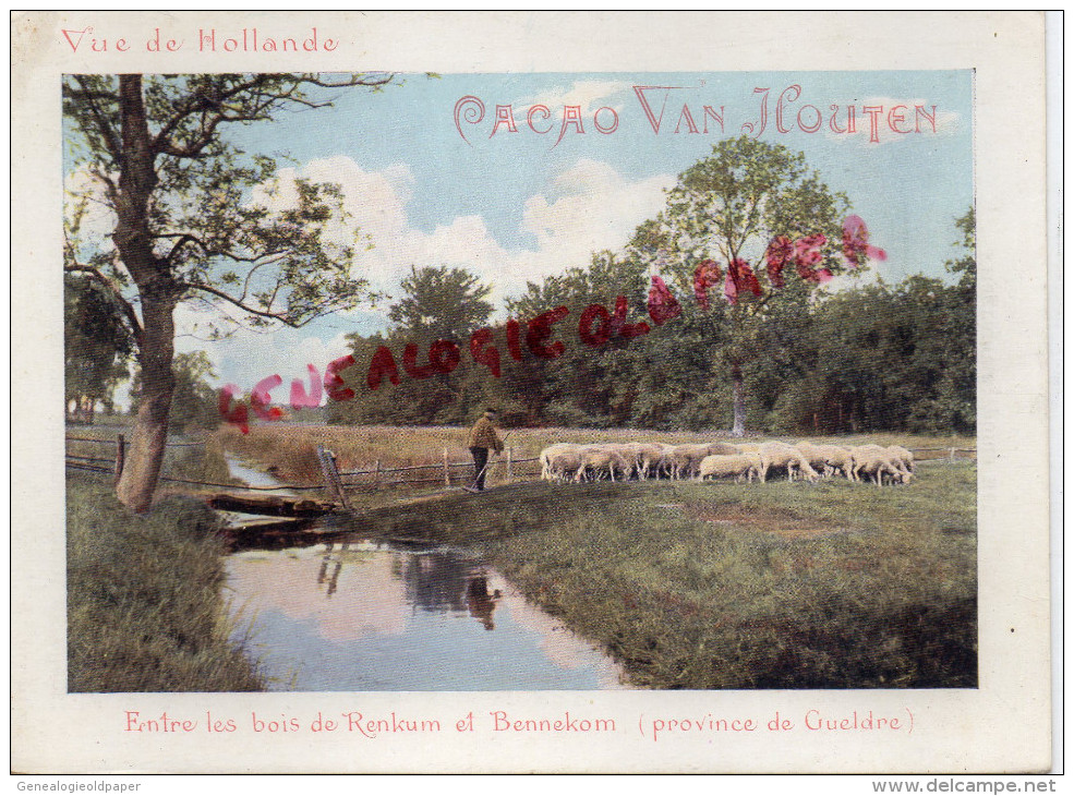 CHROMO CACAO VAN HOUTEN - VUE DE HOLLANDE- ENTRE LES BOIS DE RENKUM ET BENNEKOM- PROVINCE DE GUELDRE - Van Houten