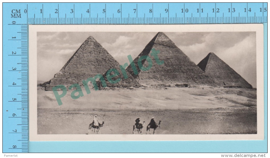 Egypt # 2 Cairo (  The Four Pyramids Of Guizeh , Animated Real Photo, Zogolopoulo Frères) 2 Scans - Le Caire