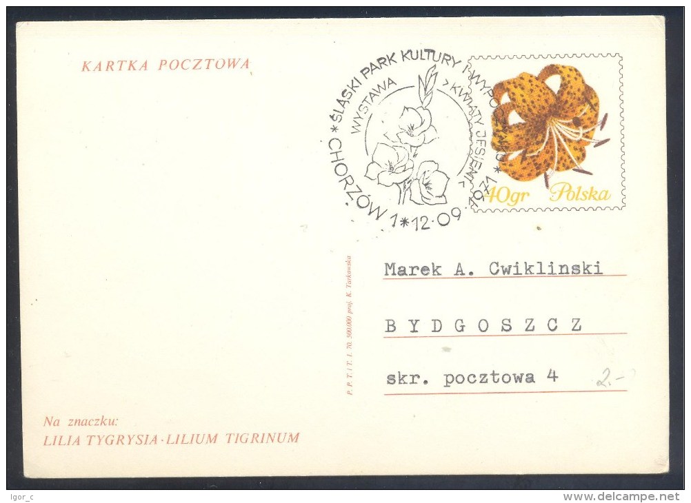 Poland 1974 Postal Stationery Card: Flora Flowers Blumen Fleurs Flores; Lilia Tygrysia Lilium Tigrinum Autumn Flowers - Other & Unclassified