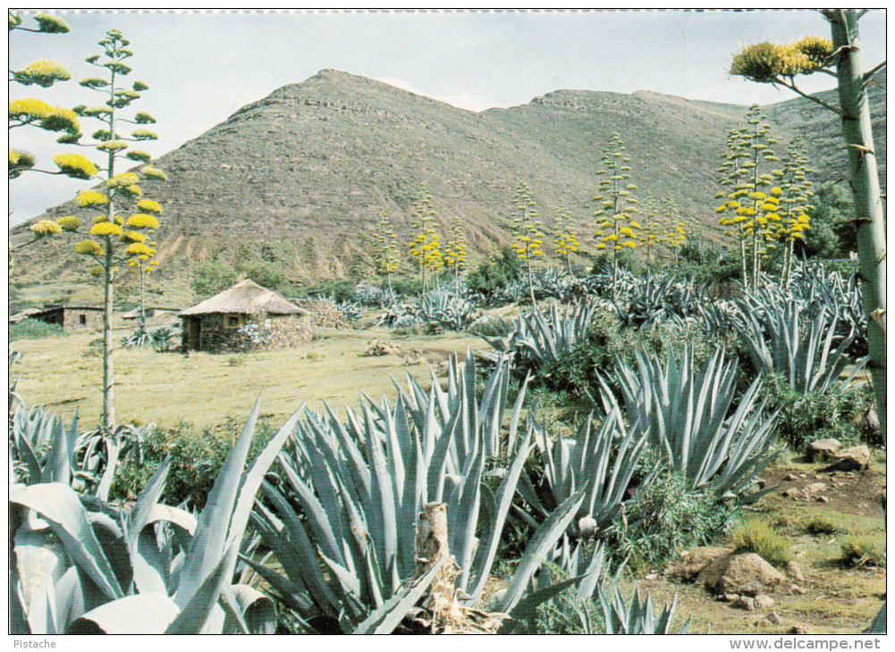 Lesotho Africa Afrique - Hale Tume - Traditional Hut - Hutte - Unused - 2 Scans - Lesotho