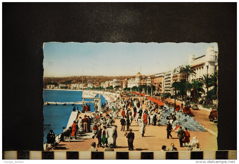 CP 06, NICE, Promenade Des Anglais,  Coorisée, Belle Animation, 1958 - Parcs Et Jardins