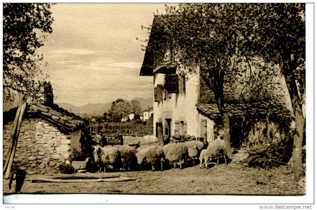 N°46087 -cpa Saint Jean Pied De Port -ferme Basquaise- - Fermes