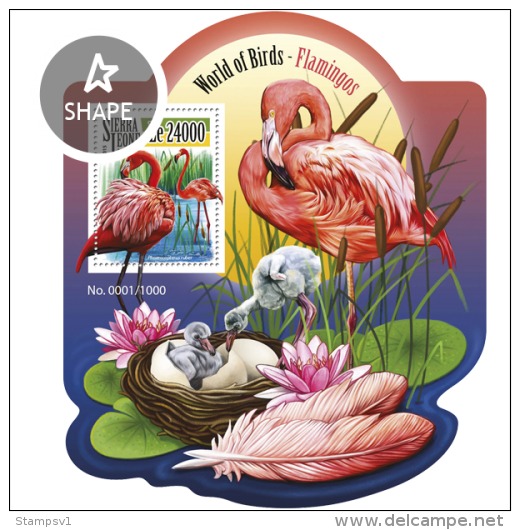 Sierra Leone. 2015 Flamingos. (514b) - Flamingo