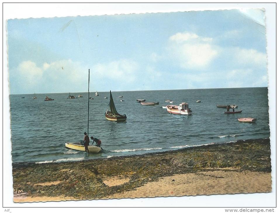 CPSM COLORISEE LA PLAINE SUR MER, LE PORT DE LA PREE, LOIRE ATLANTIQUE 44 - La-Plaine-sur-Mer