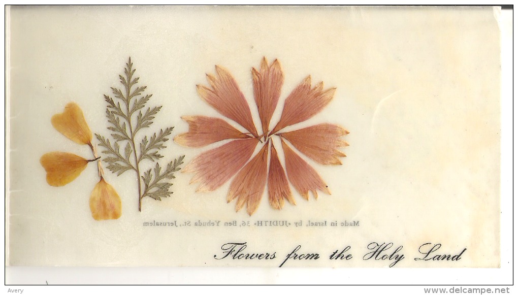 Merry Christmas And A Happy New Year Flowers From The Holy Land  Fancy Christmas Card - Other & Unclassified