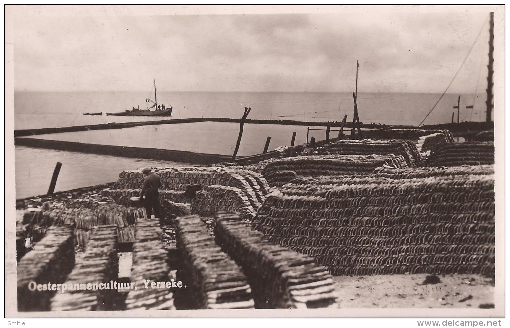 YERSEKE GEM. REIMERSWAAL CA. 1950 OESTER-INDUSTRIE OESTERS HUITRES OESTERPANNENCULTUUR - VISSERIJ - Yerseke