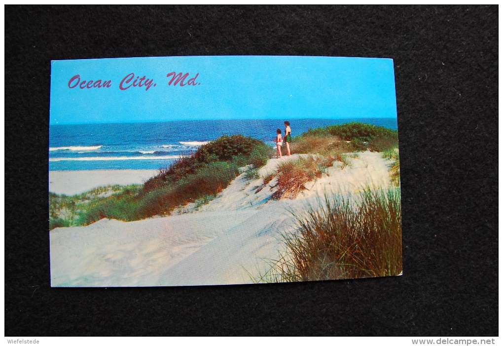 A291 - USA - Ocean City, Md. - Sand Dunes And Ocean - Unused - Unbenutzt - Ocean City