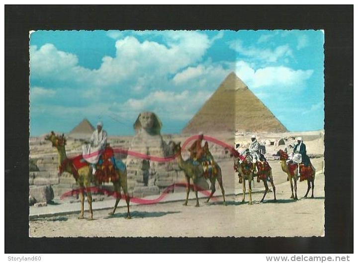 Cpm St000878 Le Grand Sphinx Et La Pyramide De Giseh (dromadaires) - Pyramids