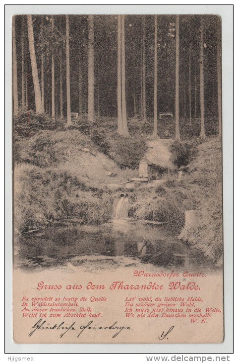 Germany Deutschland Tharandt Tharandter Wald 1899 1 Kr Stamp Stempel Post Card Postkarte Karte POSTCARD - Tharandt