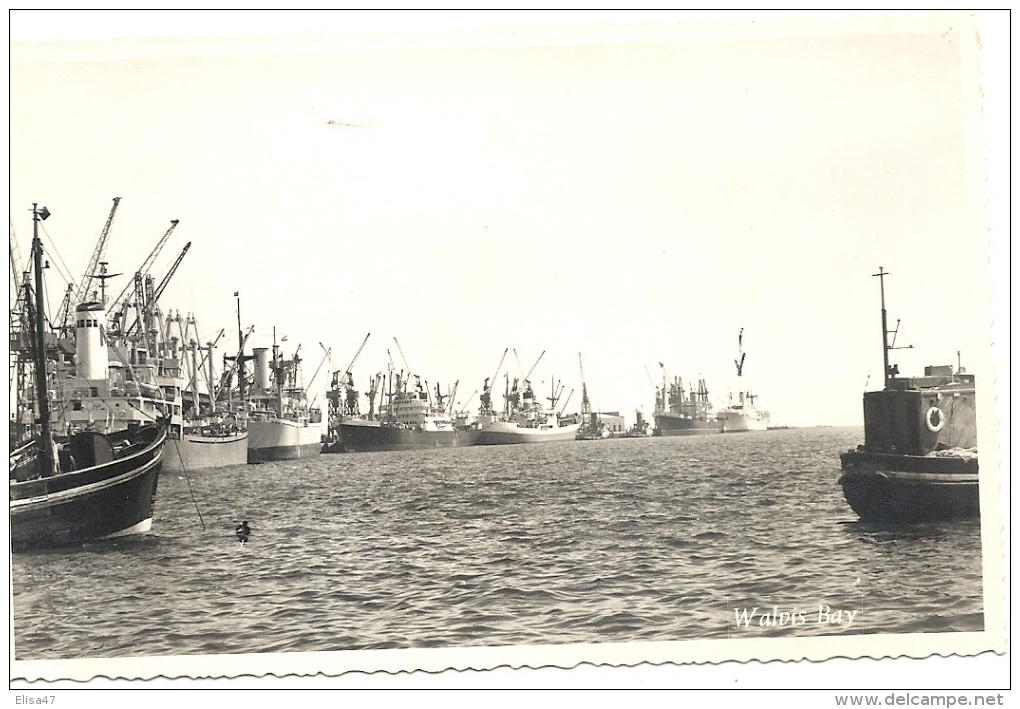 WALVIS  BAY     THE  HARBOUR   THE  BOATS - Namibie