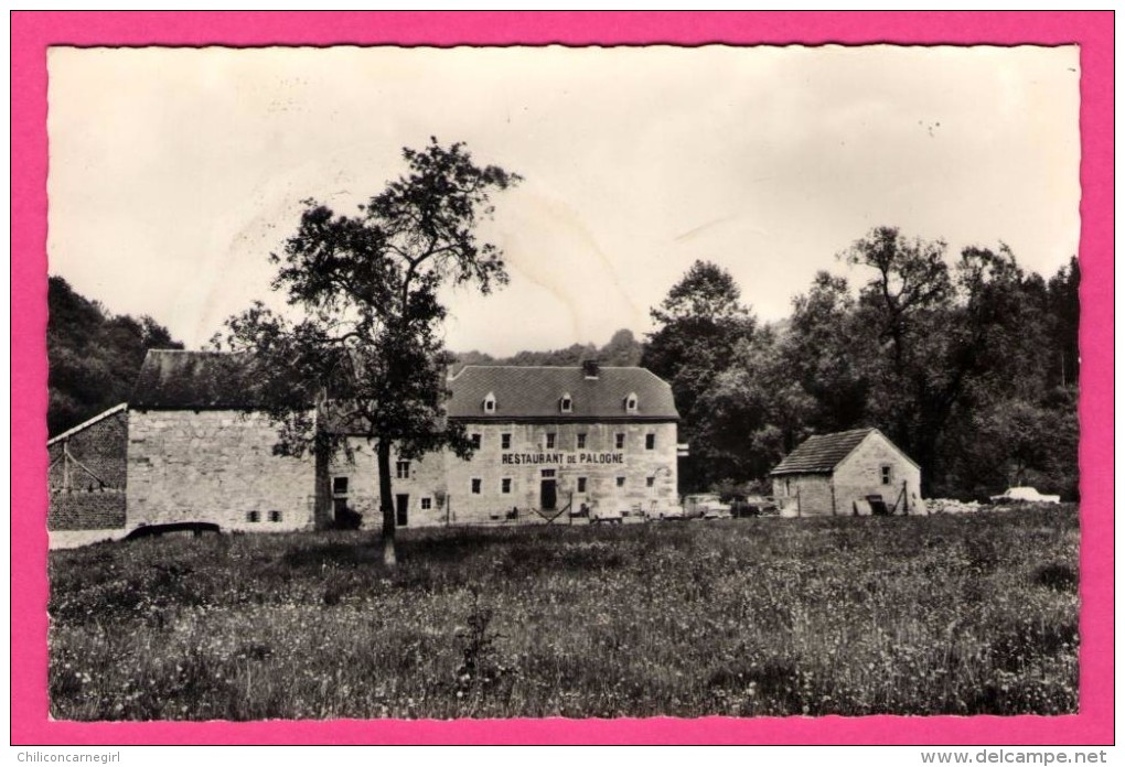 Restaurant Ferme De Palogne - Prop. EDOUARD LAWARREE - Pêche à La Truite - Bains De Rivière - A. SMETZ - Ferrieres