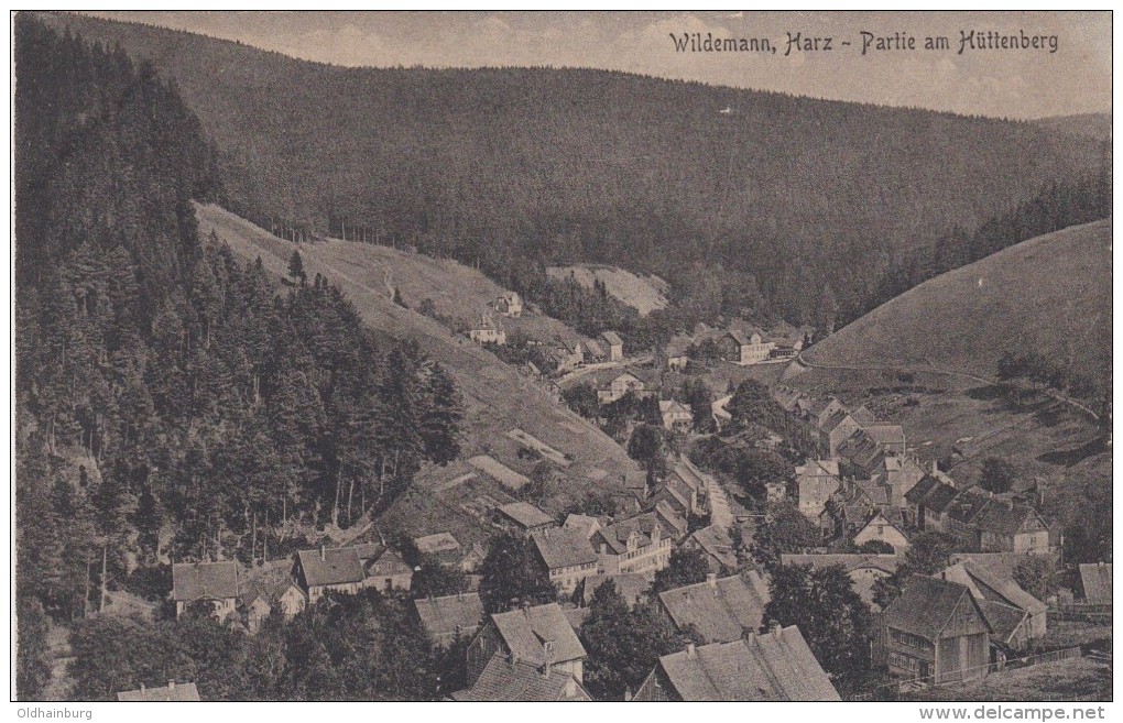 1363p: SW- AK Wildemann, Harz- Partie Am Hüttenberg, Ungebraucht, Ca. 1920 - Wildemann