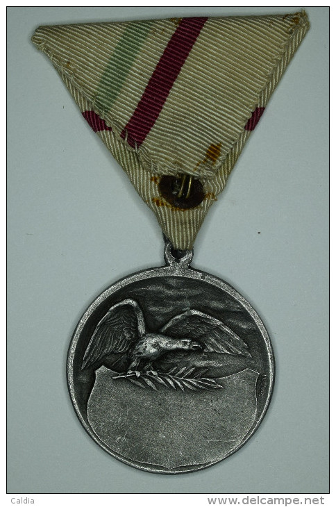 Hongrie Hungary Ungarn 1920 - 1930 Irredentist Military Award Medal LUDVIG Mark - Altri & Non Classificati