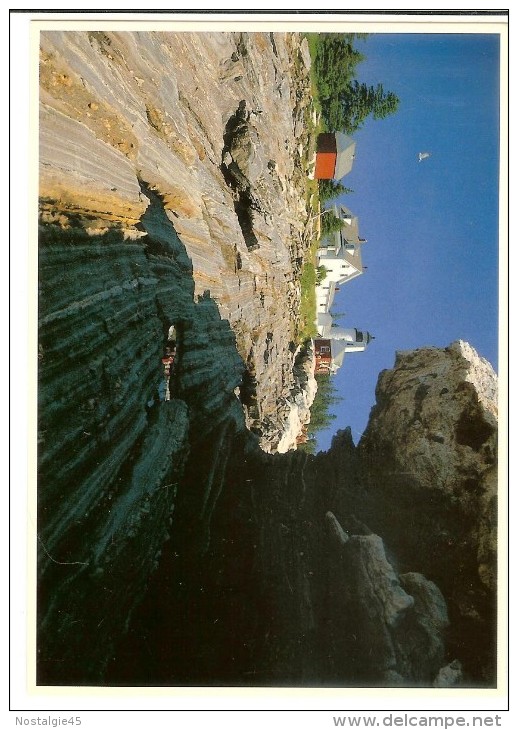 423. Photo  Ed Elvidge Pemaquid Point Light - Autres & Non Classés