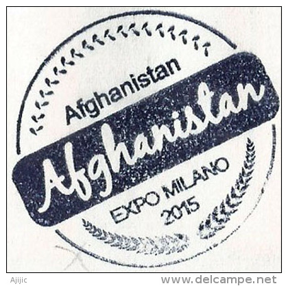 AFGHANISTAN EXPO UNIVERSELLE MILANO 2015. Lettre Du Pavillon Afghan à Milan, Postée à Milano Borromeo,avec Tampon EXPO - 2015 – Mailand (Italien)