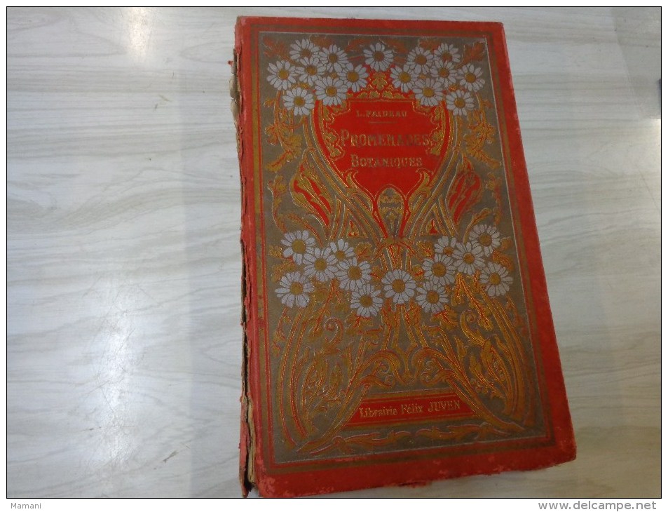 Livre De Recompense 1905-l.faideau--promenades Botaniques-houx-gui-capucine-escargots-sirex Des Sapins-apate Capucin-etc - 1901-1940